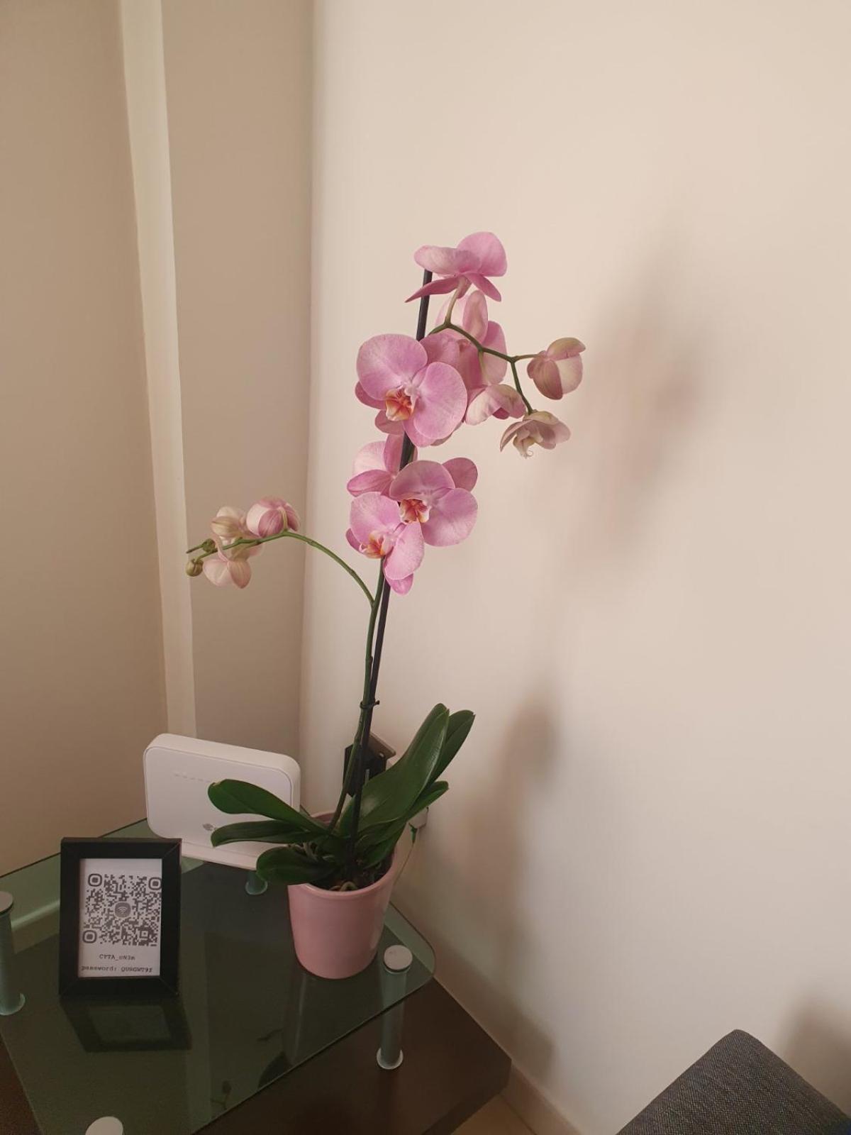 2 Bedroom Apartment, Zygos Centre Block D - By Imh Travel & Tours Paphos Luaran gambar